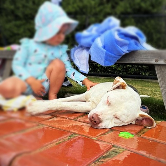 Photo of Ghost