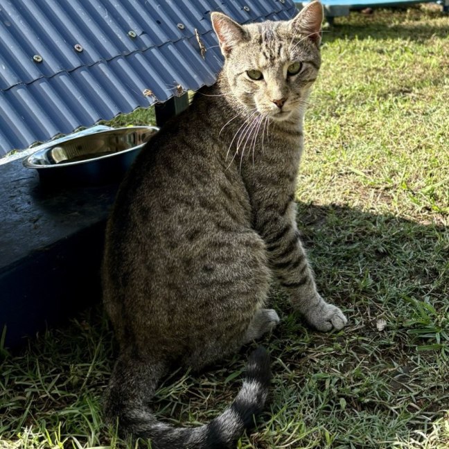 Photo of Oliver