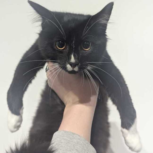 Photo of Charlotte & Benson