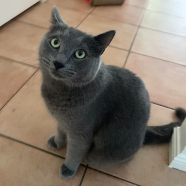 Photo of Catmandu