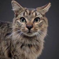 Photo of Charlie