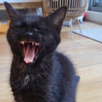 Photo of Teila 🌺🌺