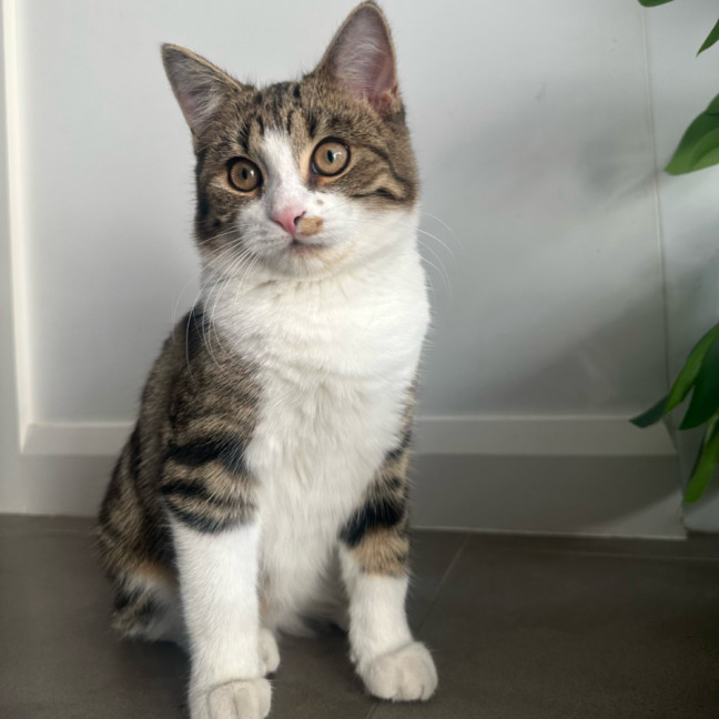 Photo of Neeko & Mira 💙🌷