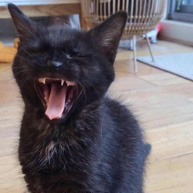 Photo of Teila 🌺🌺