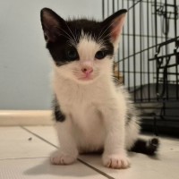 Photo of 🌙 Moon 🌙