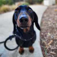 Photo of 🌞 Sonny 6191 🌞