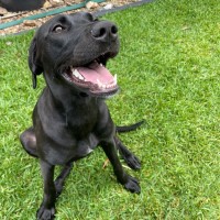 Photo of D1201 Mabel