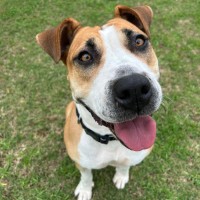 Photo of Ruby
