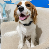Photo of Bonnie