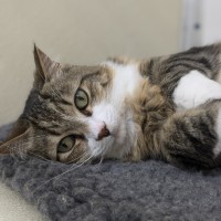 Photo of 🪀 James (Jimmy) 5740 🪀