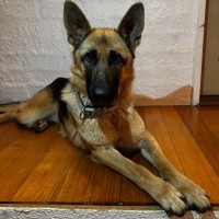 Photo of Zora