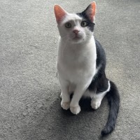 Photo of 🤗 Snugglepants 🤗👖