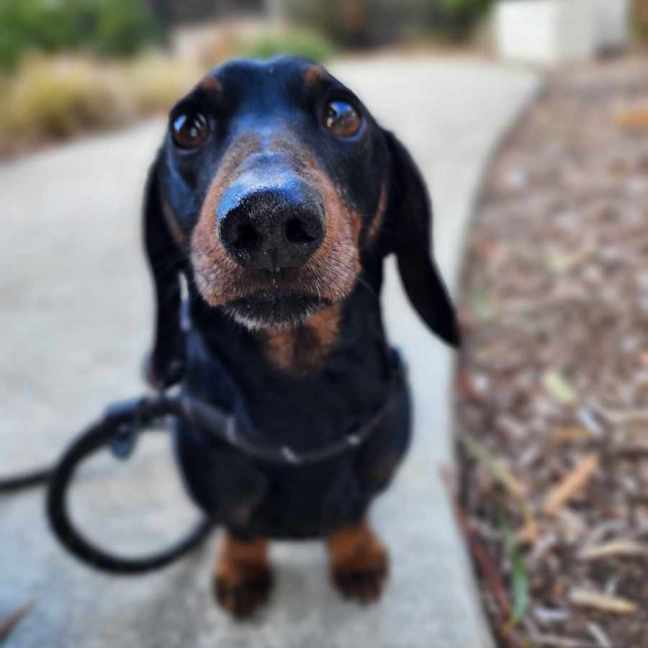 Photo of 🌞 Sonny 6191 🌞