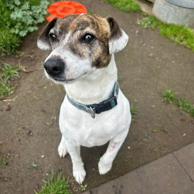 Photo of Jack