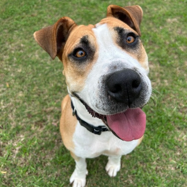 Photo of Ruby
