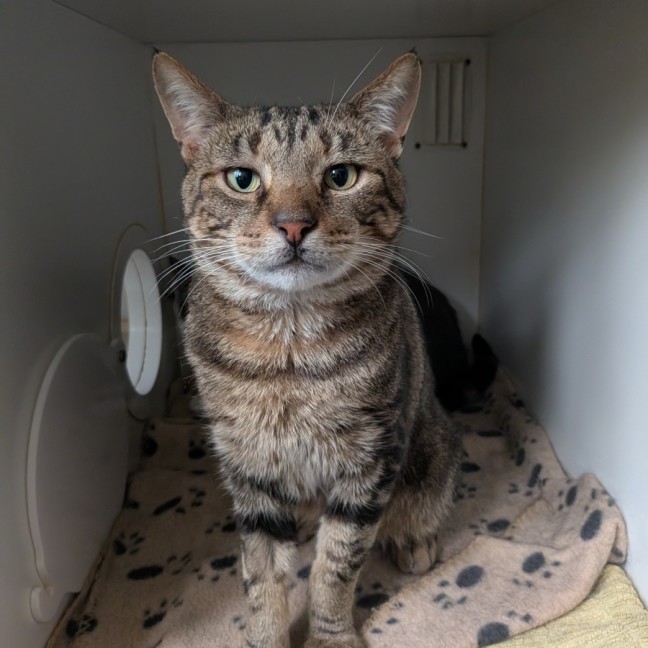 Photo of Jeremy Wade