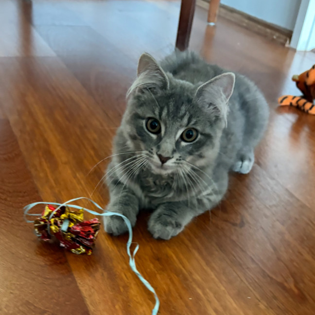 Photo of Londyn 😻💕💕😻