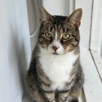 Photo of Artemis