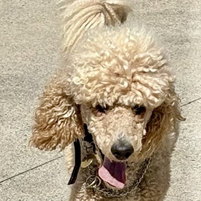 Photo of Kath Murray