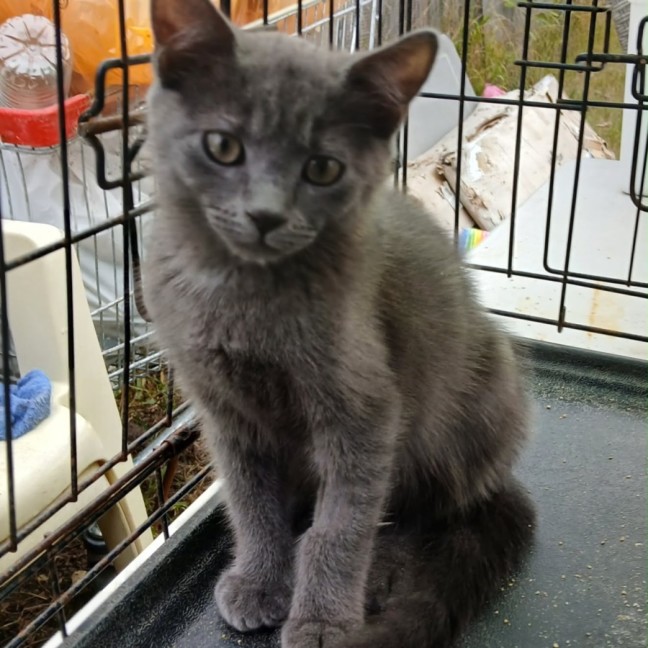 Photo of Greyson 🩶