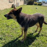 Photo of Ivy