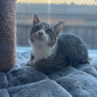 Photo of Normie 💙