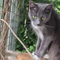 Photo of Holly