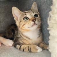 Photo of Maddox & Maverick