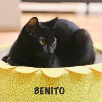 Photo of Benito & Maya