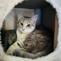 Photo of Eddie & Dot