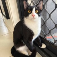 Photo of Button