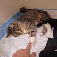 Photo of Promise