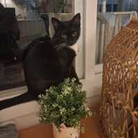 Photo of Mitzy