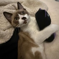 Photo of Queen Carmen And Dylan Penrose 