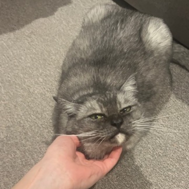 Photo of Mila   Located In Melbourne