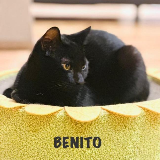 Photo of Benito & Maya