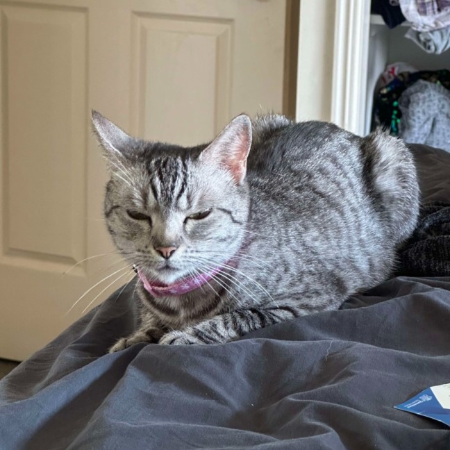 Photo of Pixie