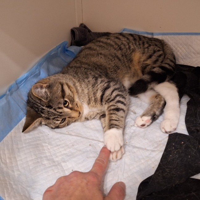 Photo of Promise