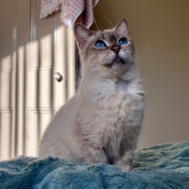 Photo of Pearl