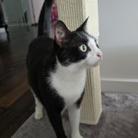 Photo of Whitney