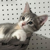 Photo of Bella 🌼🌻