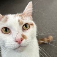Photo of William