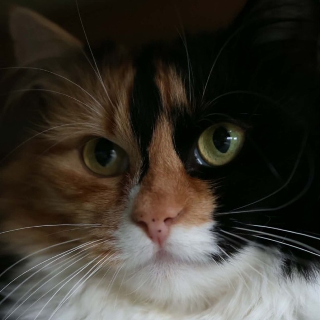 Photo of Claudia