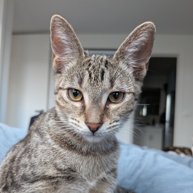Photo of Futura