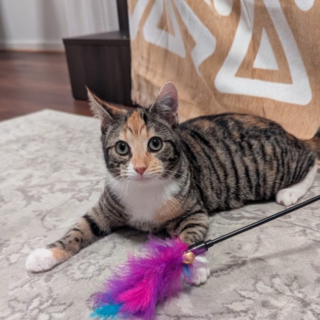 Photo of Cleopatra