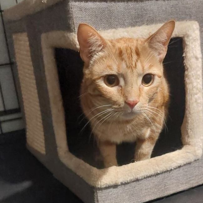 Photo of Oki 🥰