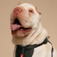 Photo of Chase & Charlie