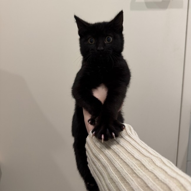 Photo of Marmite