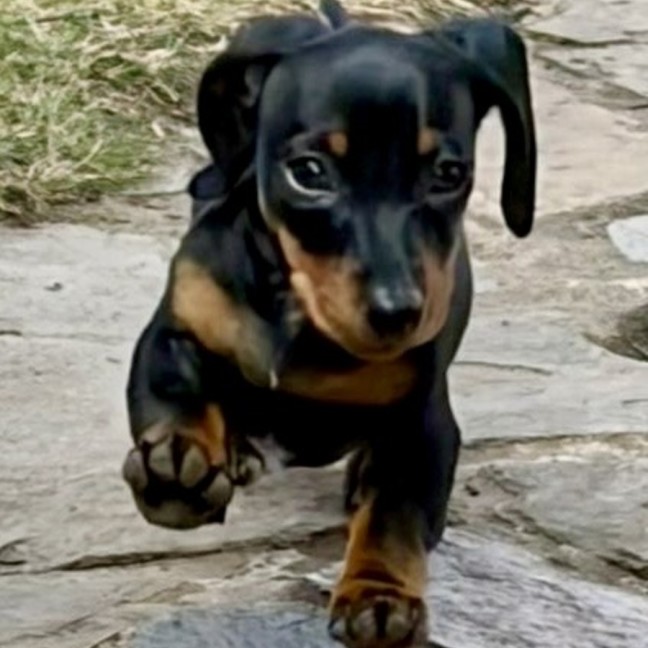 Photo of Sumi (Aka Katy)