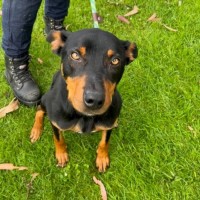 Photo of Turbo